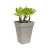 ELHO Bac a fleurs Loft Urban Carré Haut - Ø 29 x H 41 cm - Extérieur - 100% r...