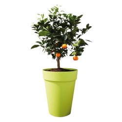 ELHO Pot de fleurs Loft Urban rond Haut - Ø 34 x H 45 cm - Extérieur - 100% r...