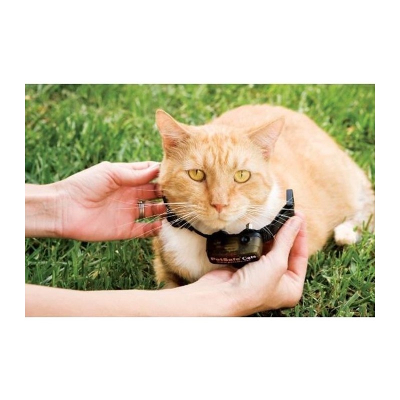 PetSafe - Collier supplémentaire pour clôture anti-fugu chat, 4 niveaux de st...