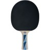 Raquette de tennis de table - SCHILDKRÖT - LEGENDS 700 FSC
