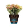 ELHO Pot de fleurs Loft Urban rond Haut - Ø 34 x H 45 cm - Extérieur - 100% r...