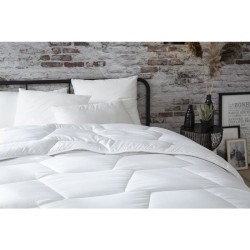 ABEIL Couette légere NUAGE de DOUCEUR 200x200 cm blanc