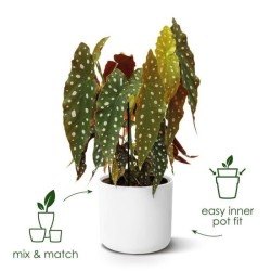 ELHO Pot de fleurs rond B.for Soft 35 - Ø 35 x H 32 cm - Intérieur - 100% rec...