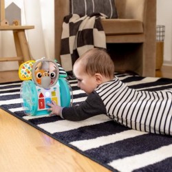 BABY EINSTEIN EARL l'éléphant Jouet d'éveil a roulettes interactif multilingu...