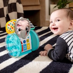 BABY EINSTEIN EARL l'éléphant Jouet d'éveil a roulettes interactif multilingu...