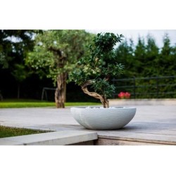 Pot vasque Ø 59 cm - EDA - Graphit UP - 39 L - Intérieur/ Extérieur - Décor G...