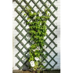 Treillis extensible en bois NATURE - 50 x 150 cm - FSC label - lattes 18 x 6 ...
