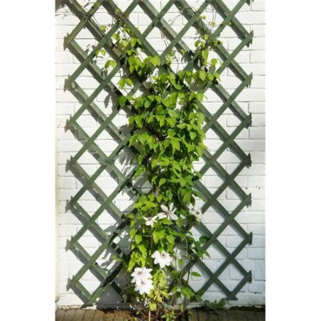Treillis extensible en bois NATURE - 50 x 150 cm - FSC label - lattes 18 x 6 ...