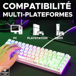 Clavier Gamer - The G-Lab - KEYZ HYDROGEN - 60% Format Compact - Rétroéclairé...