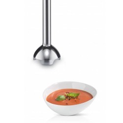 Mixeur plongeant CleverMixx MSM24100 - BOSCH - 400W - Pied détachable inox - ...