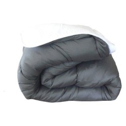 ABEIL Couette chaude Bicolore - 200 x 200 cm - Blanc et gris