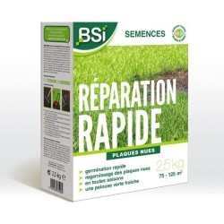 BSI - Semences De Gazon - Réparation Rapide - Avec Enrobage Protecteur - Tres...