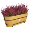 ELHO Balconniere ovale Vibia Campana Allin1 - Plastique - Réservoir - 50,4 x ...