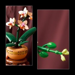 LEGO Botanicals 10343 L'orchidée miniature - Fleurs artificielles - Idée cadeau