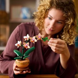 LEGO Botanicals 10343 L'orchidée miniature - Fleurs artificielles - Idée cadeau