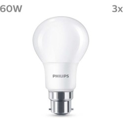 Ampoule LED - PHILIPS - 60 W - B22 - Blanc chaud - Dépolie -