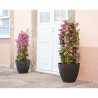 ARTEVASI Pot de fleurs CAPRI CAMPANA - Résistant au gel - Anthracite - 30 x 3...