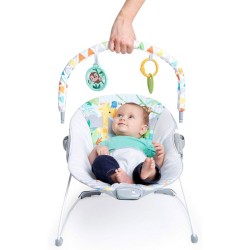 BRIGHT STARS Transat pour bébé - Safari - Arche avec jouets d'éveil amovible ...