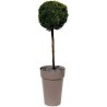 Vase haut Rond Ø 46 cm - EDA - Toscane - 67 L - Ø 46 x H. 65 cm - Taupe