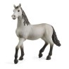Figurine Poulain pure race espagnole, SCHLEICH 13924 Horse Club, Des