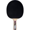 Raquette de tennis de table - SCHILDKRÖT - LEGENDS 800 FSC