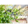 Guirlande solaire Vivo 365 20L - SMART SOLAR - 8 ampoules LED blanc chaud - T...