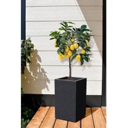 Bac a Fleurs Carré Haut 30 cm - EDA - Graphit Up - 36 L - Intérieur/ Extérieu...