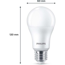 Ampoule LED - PHILIPS - 100 W - A67 E27 - Blanc froid - Non dimmable
