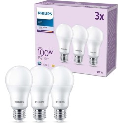 Ampoule LED - PHILIPS - 100 W - A67 E27 - Blanc froid - Non dimmable