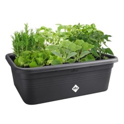 ELHO Bac a fleurs de culture Green Basics Large - L 76 x B 57 x H 27 cm - Cul...