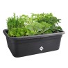 ELHO Bac a fleurs de culture Green Basics Large - L 76 x B 57 x H 27 cm - Cul...