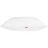 DODO Lot de 2 Oreillers MERIBEL Plumettes 60x60cm