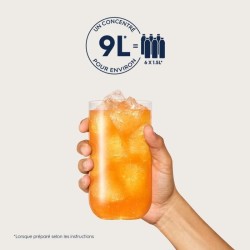Concentrés SODASTREAM - Lot de 6 concentrés Agrumes - Jusqu'a 54L de boissons...