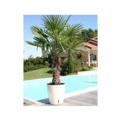 Pot de fleurs rond - RIVIERA - EVA NEW - Plastique -  D35 x H33 cm - Bleu