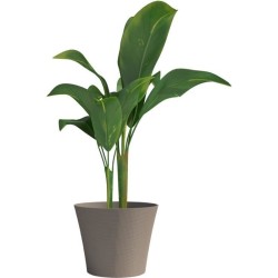 Pot de fleurs - GARDEN ID - Green Care Sense Taupe - 40 x 34 cm - Garantie de...