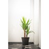 Pot de fleurs - GARDEN ID - Green Care Sense Noir-Anthracite - 40 x 34 cm - G...