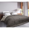 CALGARY - Couette Chaude Microfibre 400gr/m² - Taupe & Lin - 220 x 240 cm