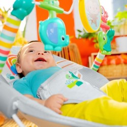 BRIGHT STARTS Transat pour bébé Animaux, Vibrations apaisantes, Arche d'éveil...