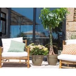 ARTEVASI pot de fleurs CAPRI CAMPANA - Résistant au gel - Anthacite - 35 x 35...