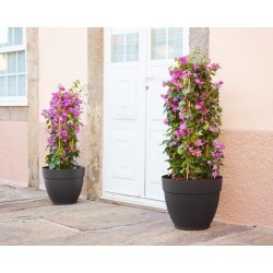ARTEVASI pot de fleurs CAPRI CAMPANA - Résistant au gel - Anthacite - 35 x 35...