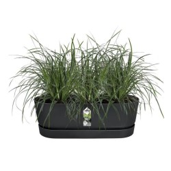 ELHO Balconniere Greenville Easy Balcony 52 - Living Noir - Balcon - L 21.2 x...