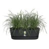 ELHO Balconniere Greenville Easy Balcony 52 - Living Noir - Balcon - L 21.2 x...