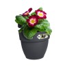 ELHO Pot de fleurs balcon Vibia Campana Easy Hanger Small - Anthracite - Balc...