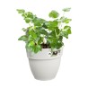 ELHO Pot de fleurs balcon Vibia Campana Easy Hanger Small - Blanc Soie - Balc...
