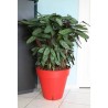 Pot de fleurs - RIVIERA - Loft avec réserve d'eau - Rond - Ø 49 x H 45 cm - 5...