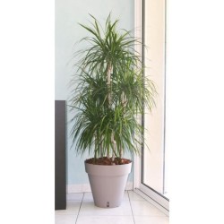 Pot de fleurs avec réserve d'eau - RIVIERA - Loft Rond - Ø 49 x H 45 cm -Taupe