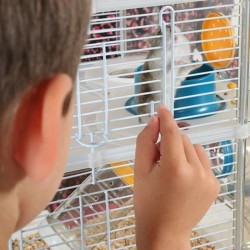 ZOLUX Cage sur 2 étages Rody3 duo pour hamsters, souris et gerbilles - L 41 x...