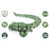 Jouet serpent amphibie télécommandé sans fil