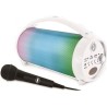 FLASHBOOM Enceinte Bluetooth portable entierement lumineuse avec micro filair...