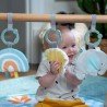 INGENUITY Tapis d'éveil bébé Sun Valley, arche de jeu en bois - 3 jouets amov...